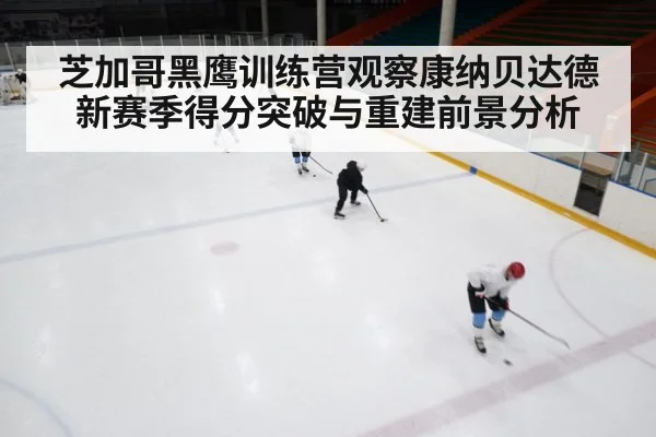 芝加哥黑鹰训练营观察康纳贝达德 新赛季得分突破与重建前景分析