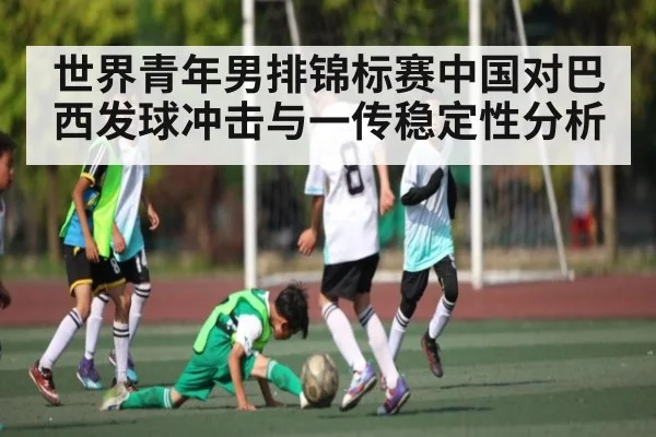 世界青年男排锦标赛中国对巴西发球冲击与一传稳定性分析